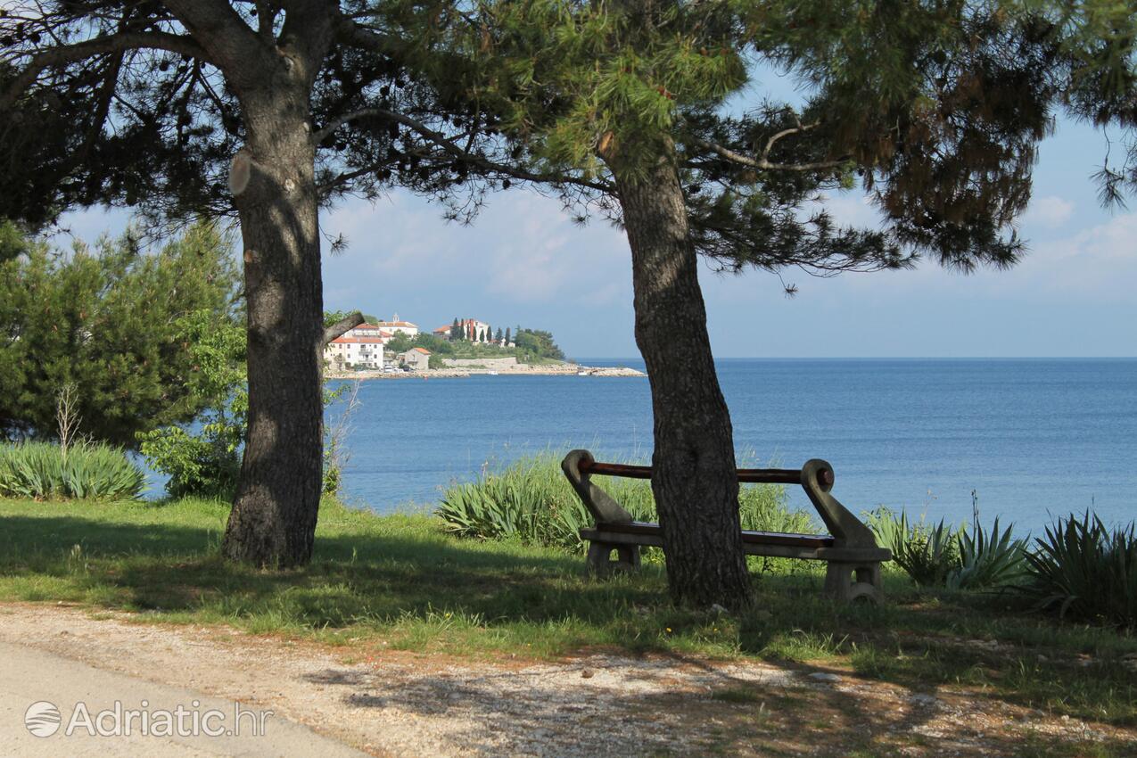 Vantačići na otoku Krk (Kvarner)