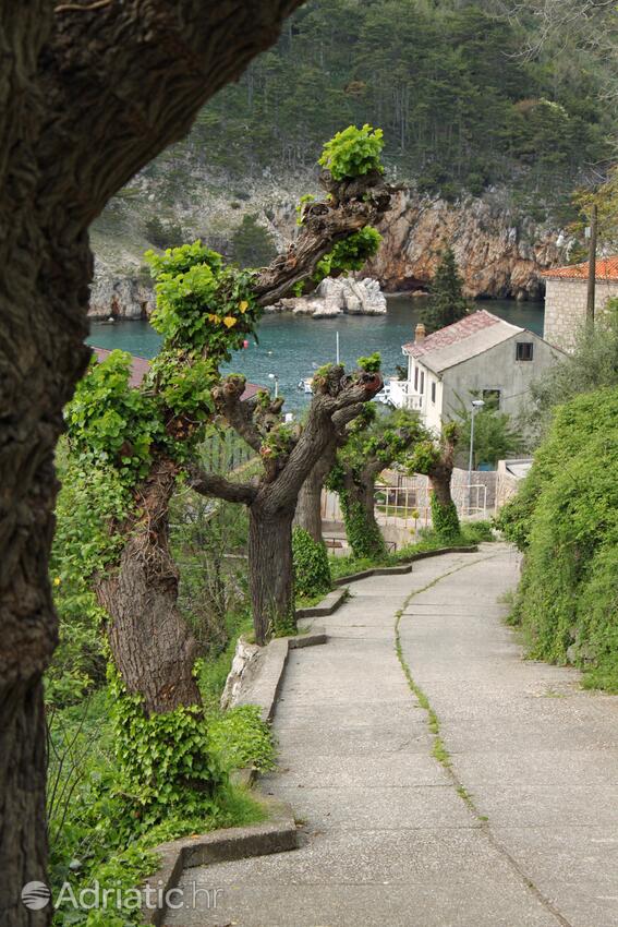 Vrbnik pe insula Krk (Kvarner)