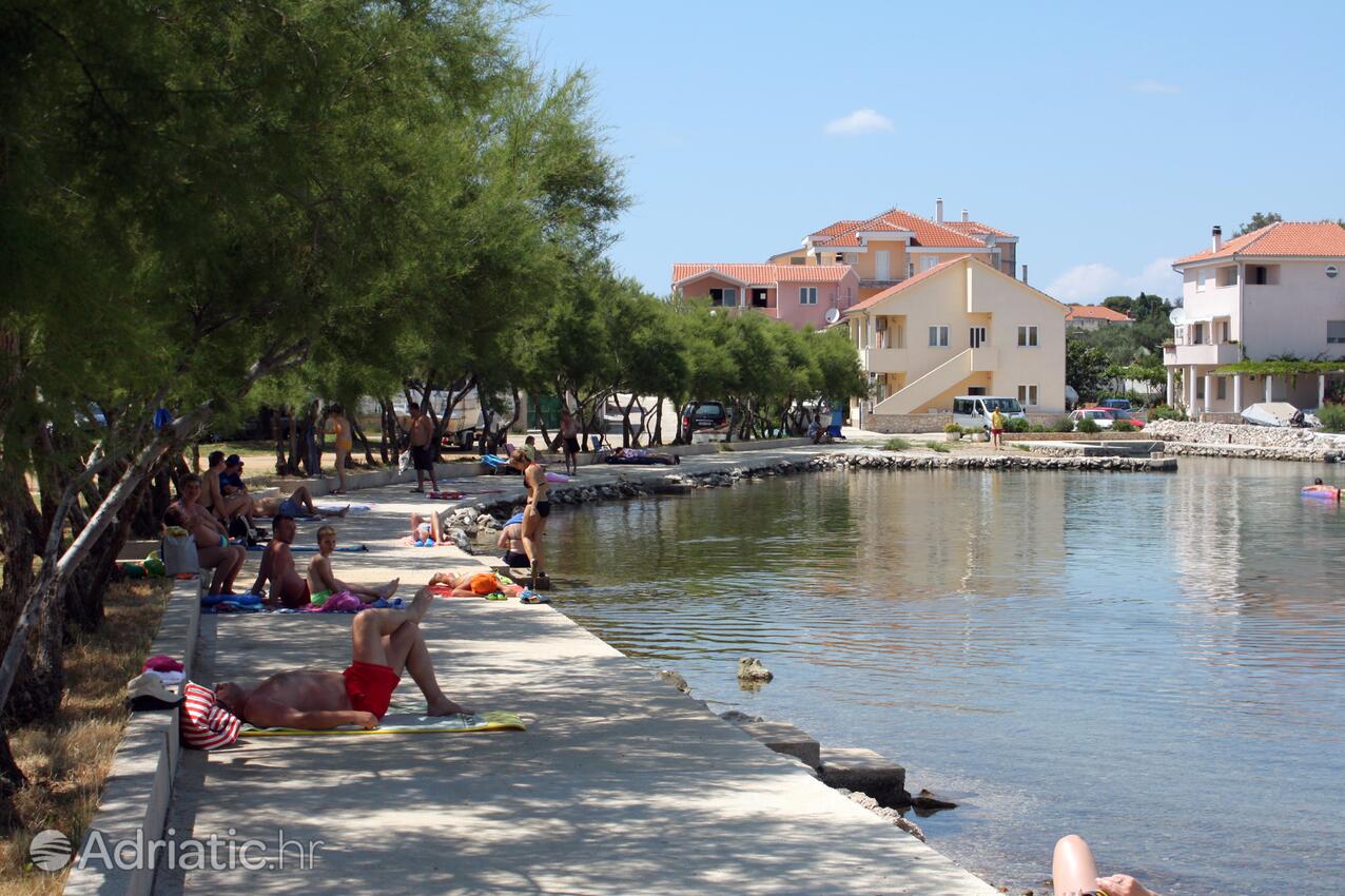 Spiagge nelle vicinanze - Appartamenti accanto al mare Betina, Morter - Murter
