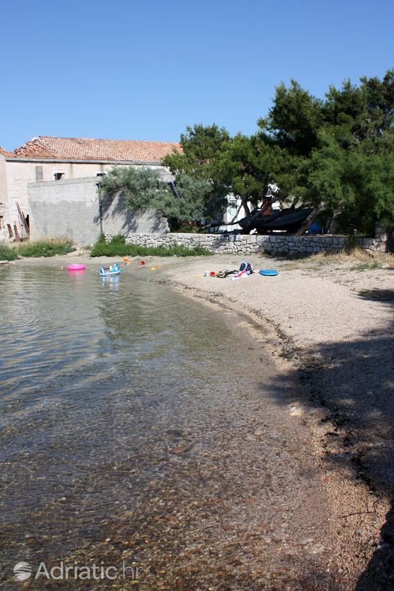 Spiagge nelle vicinanze - Appartamenti accanto al mare Betina, Morter - Murter