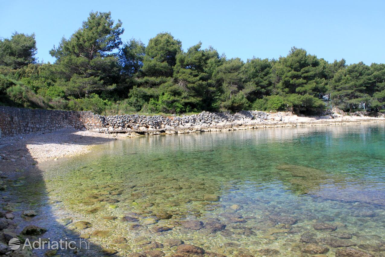 Nearby beaches - Apartments with a parking space Stari Grad, Hvar
