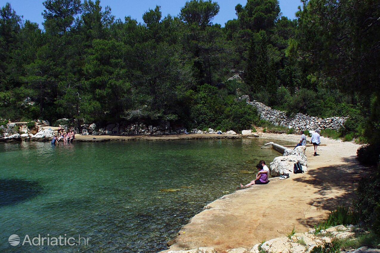 Nearby beaches - Apartments with a parking space Stari Grad, Hvar