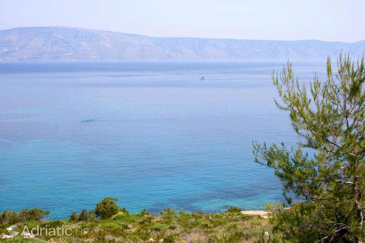 Vrboska na wyspie Hvar (Srednja Dalmacija)