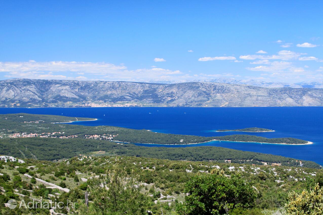 Vrboska na wyspie Hvar (Srednja Dalmacija)