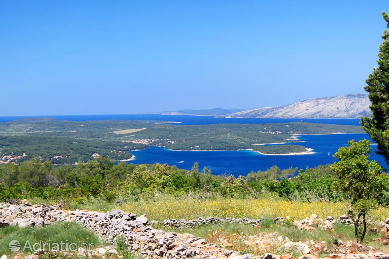 Vrboska na wyspie Hvar (Srednja Dalmacija)