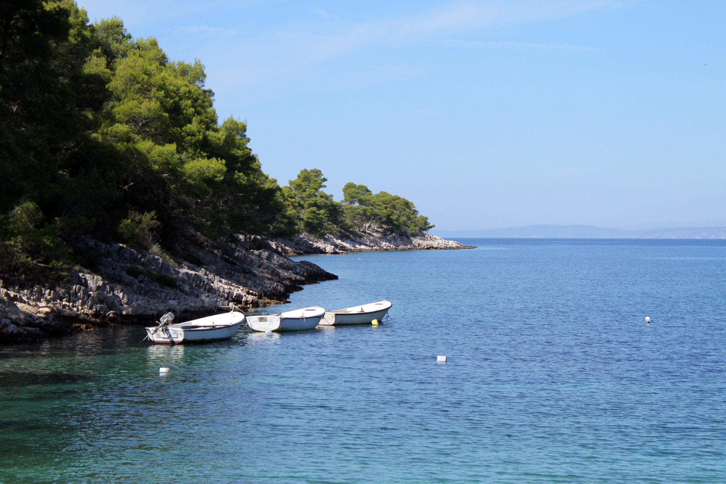 Dove soggiornare a Lozna