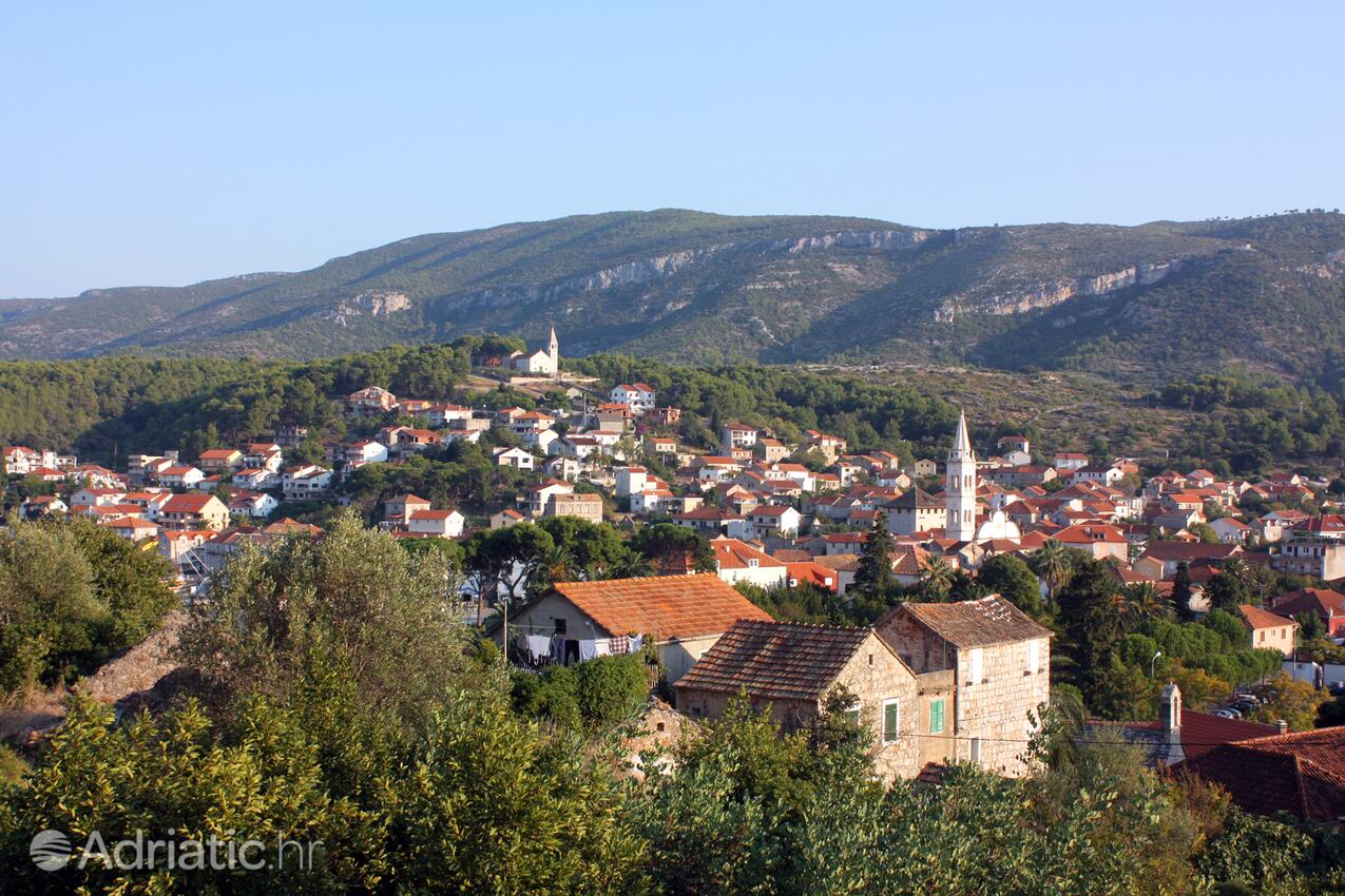 Jelsa острові Hvar (Srednja Dalmacija)