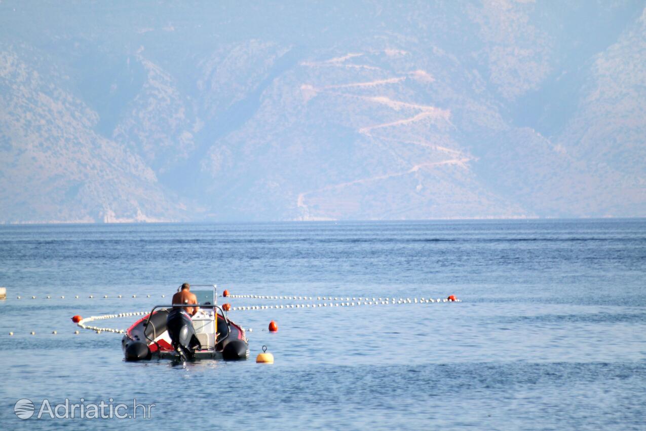 Jelsa na otoku Hvar (Srednja Dalmacija)