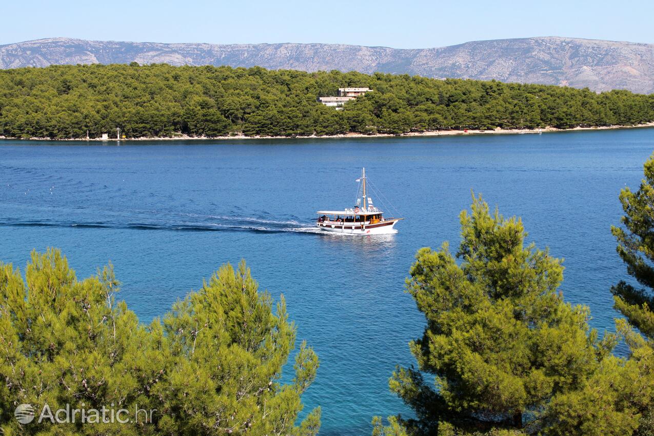 Jelsa на острове Hvar (Srednja Dalmacija)