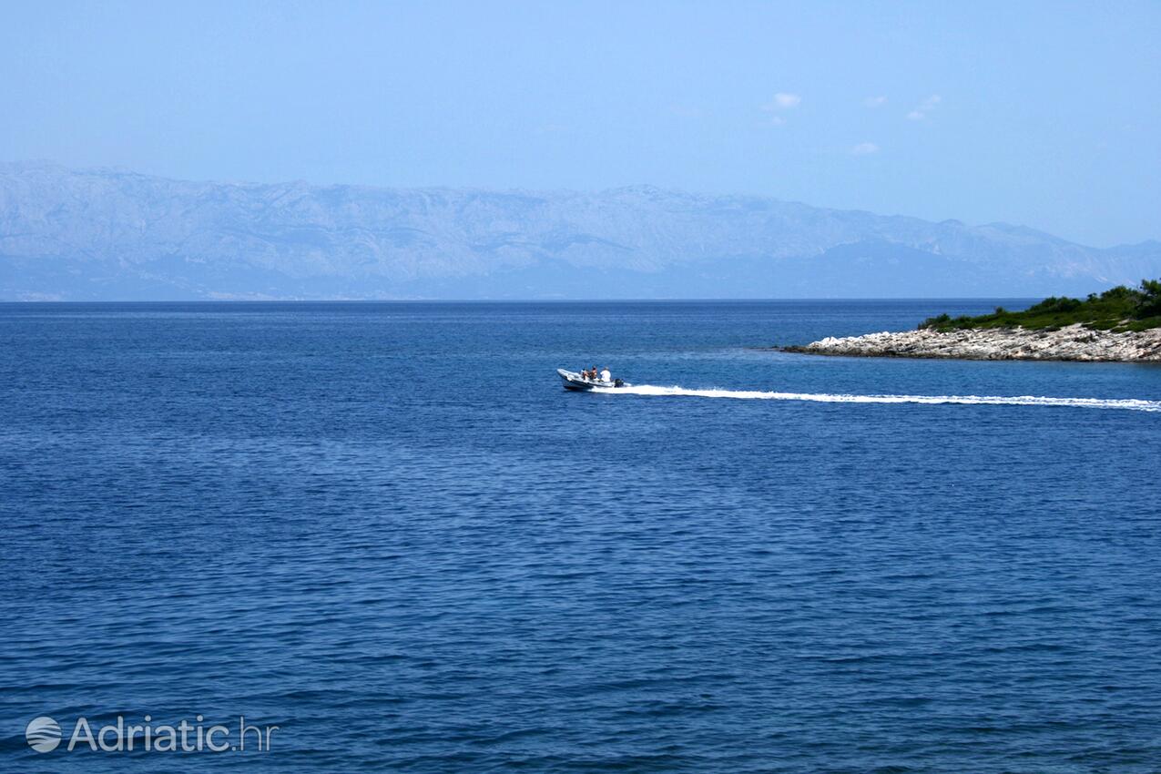 Basina острові Hvar (Srednja Dalmacija)