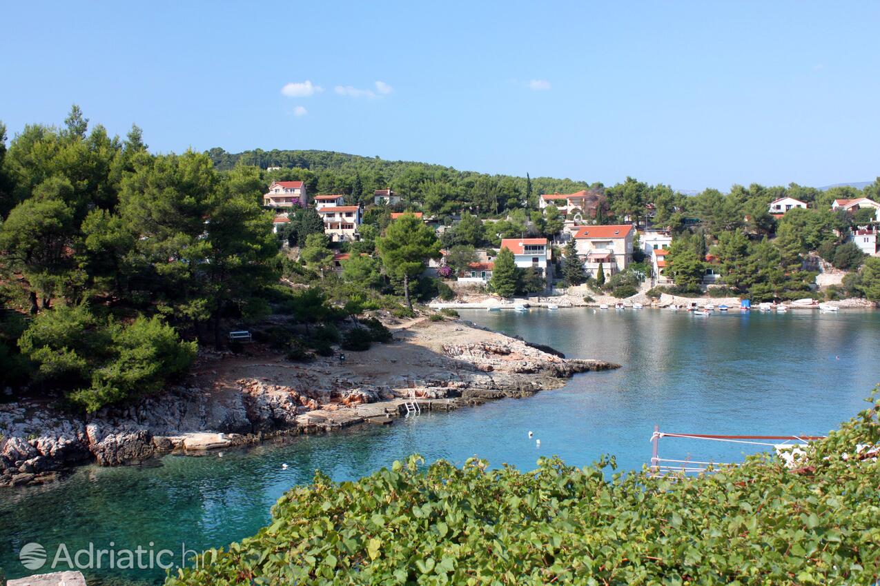 Basina острові Hvar (Srednja Dalmacija)