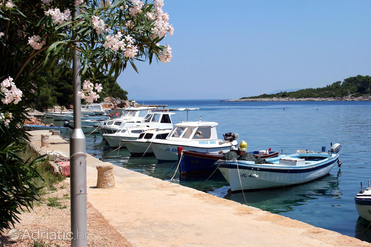 Basina острові Hvar (Srednja Dalmacija)