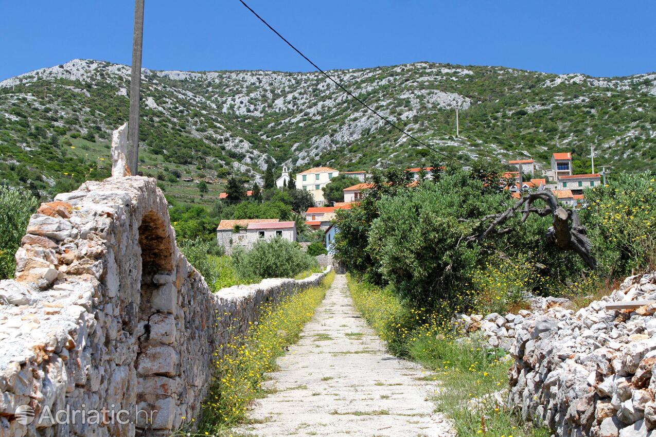 Zavala på otoku Hvar (Srednja Dalmacija)