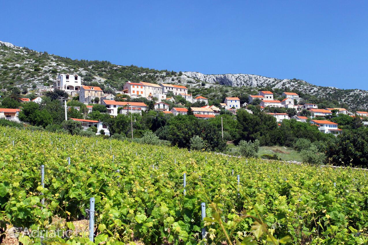 Zavala på otoku Hvar (Srednja Dalmacija)