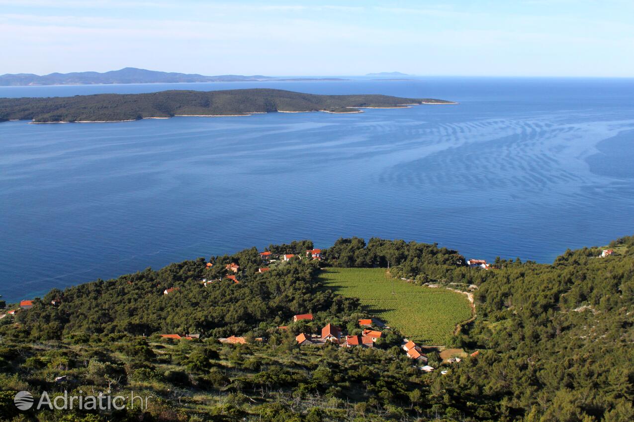 Zavala på otoku Hvar (Srednja Dalmacija)