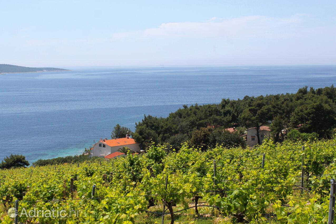 Zavala på otoku Hvar (Srednja Dalmacija)