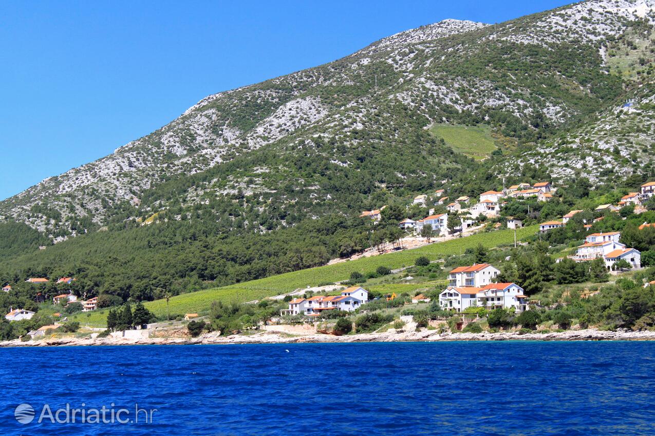 Zavala på otoku Hvar (Srednja Dalmacija)
