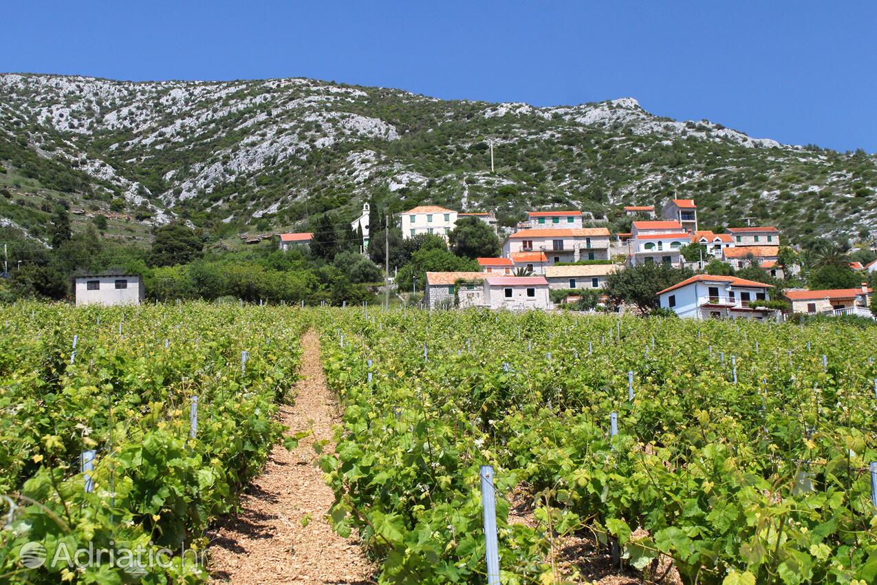 Zavala på otoku Hvar (Srednja Dalmacija)