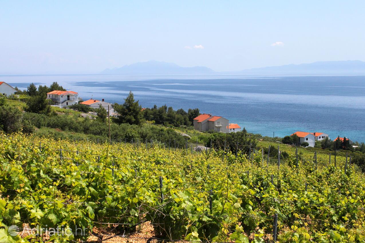 Zavala på otoku Hvar (Srednja Dalmacija)