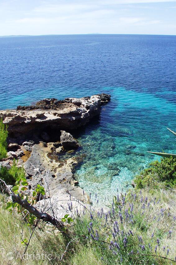 Bojanić Bad sur l’île Hvar (Srednja Dalmacija)