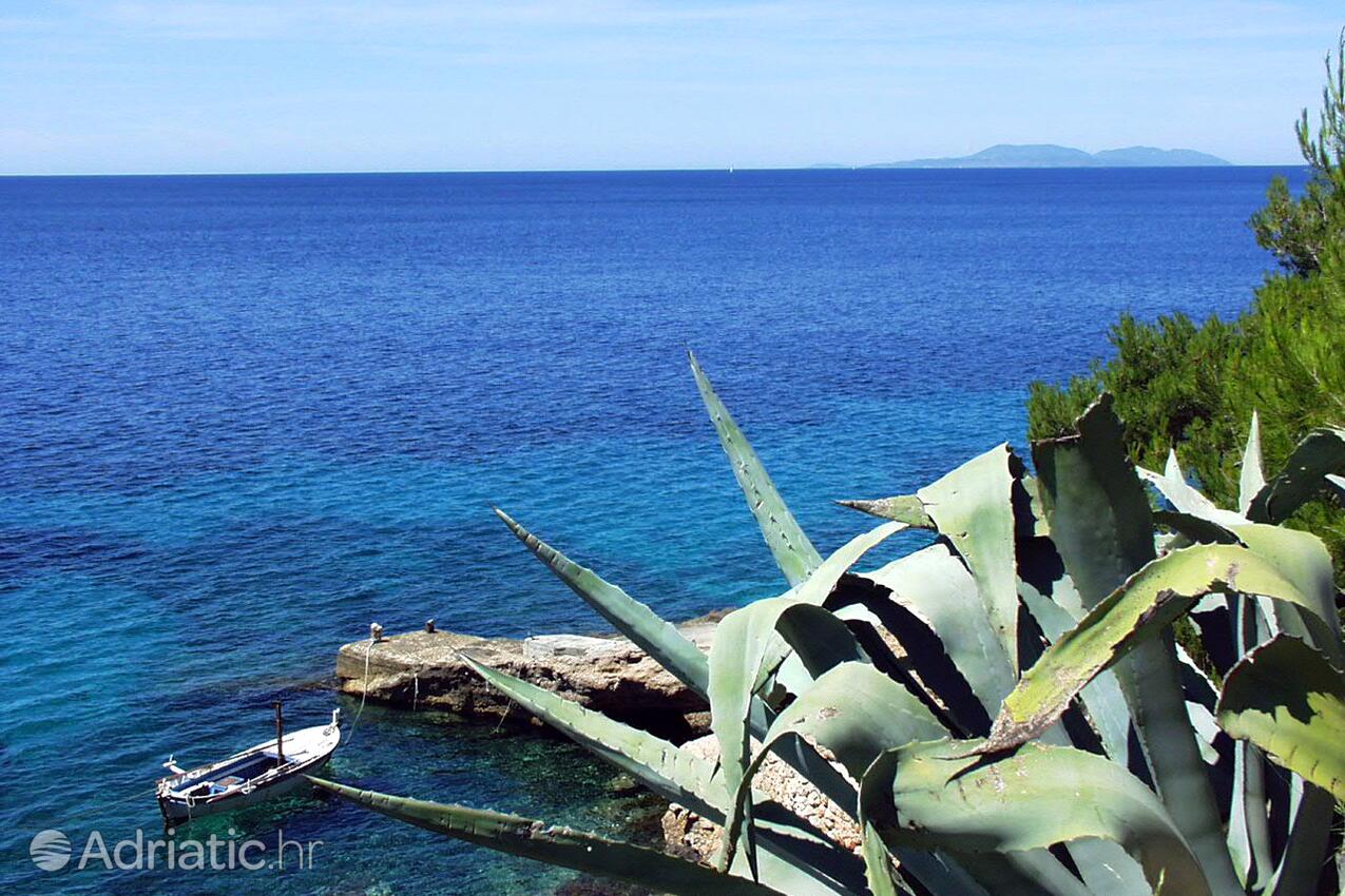 Bojanić Bad sur l’île Hvar (Srednja Dalmacija)