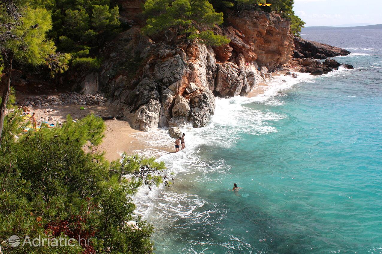 Nearby beaches - Apartments by the sea Ivan Dolac, Hvar