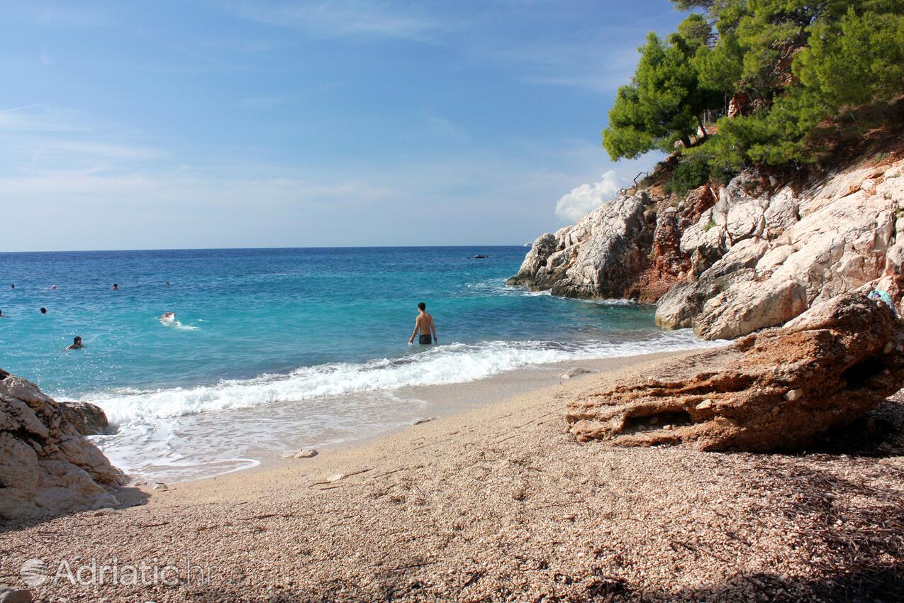 Nearby beaches - Apartments by the sea Ivan Dolac, Hvar