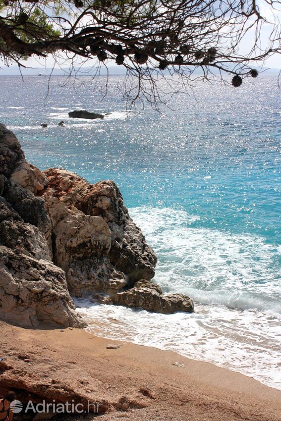Nearby beaches - Apartments by the sea Ivan Dolac, Hvar