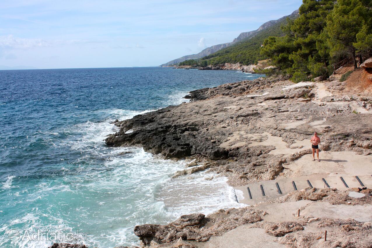 Nearby beaches - Apartments by the sea Ivan Dolac, Hvar