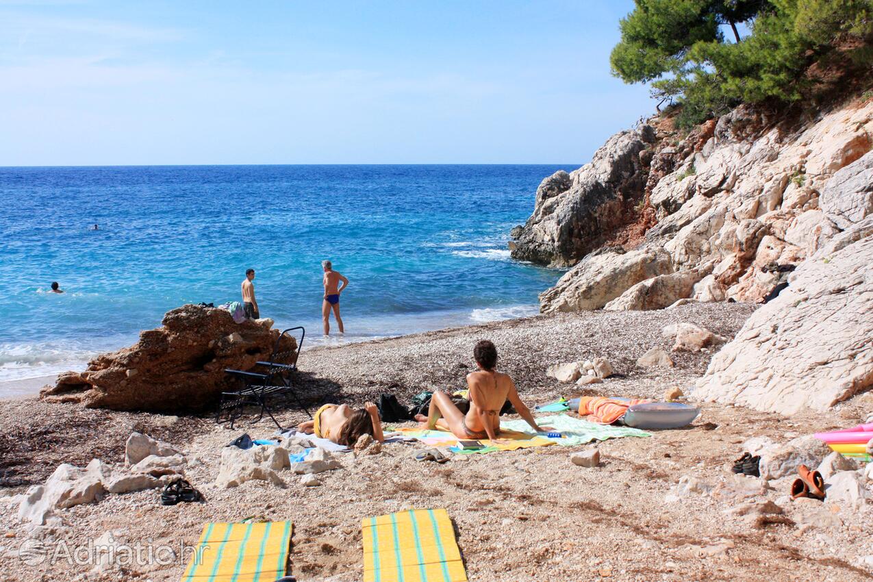 Nearby beaches - Apartments by the sea Ivan Dolac, Hvar