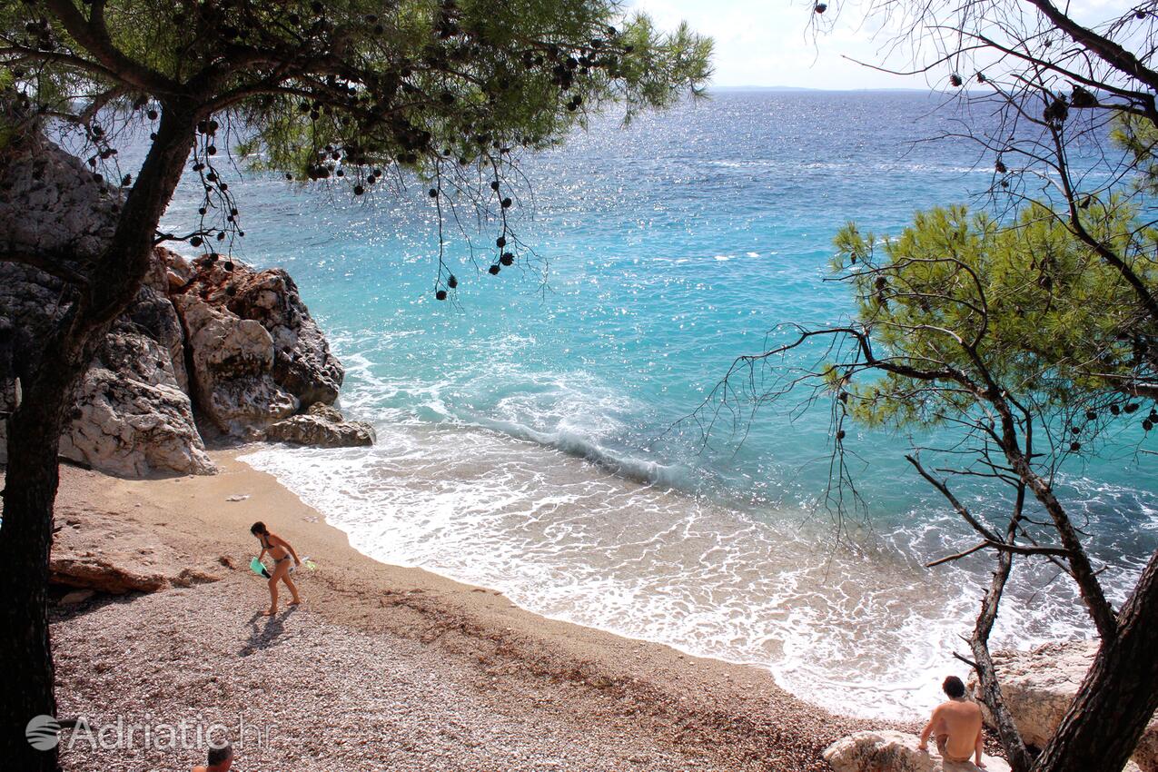 Nearby beaches - Apartments by the sea Ivan Dolac, Hvar