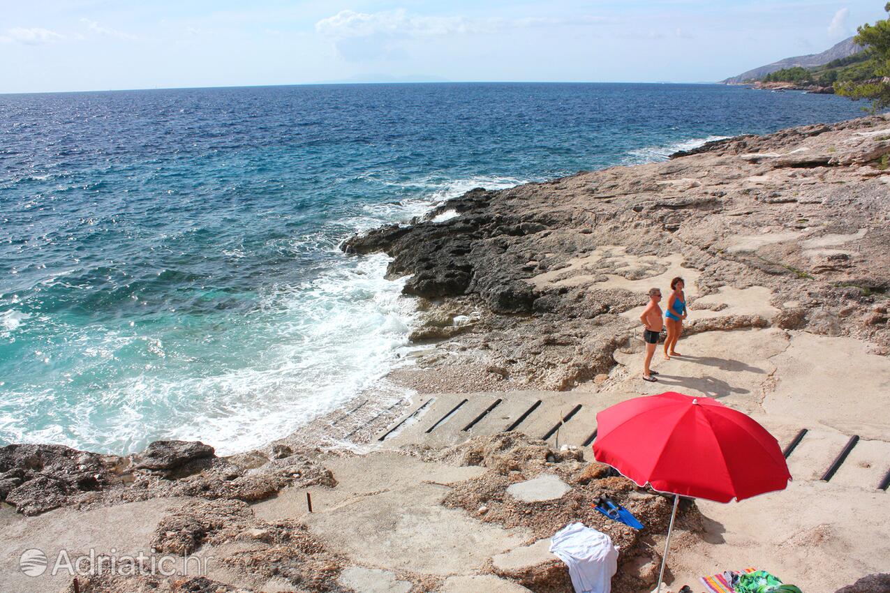Nearby beaches - Apartments by the sea Ivan Dolac, Hvar