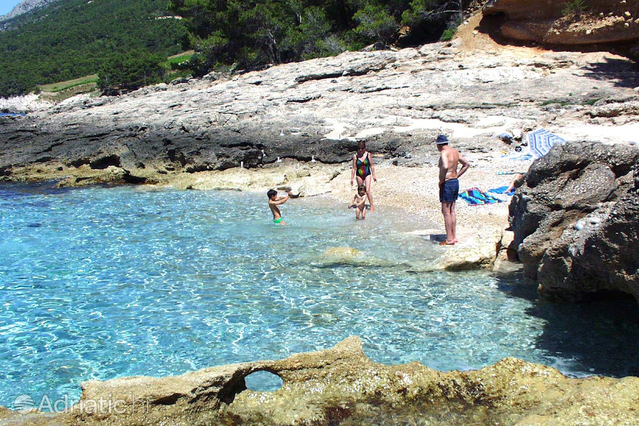 Nearby beaches - Apartments by the sea Ivan Dolac, Hvar