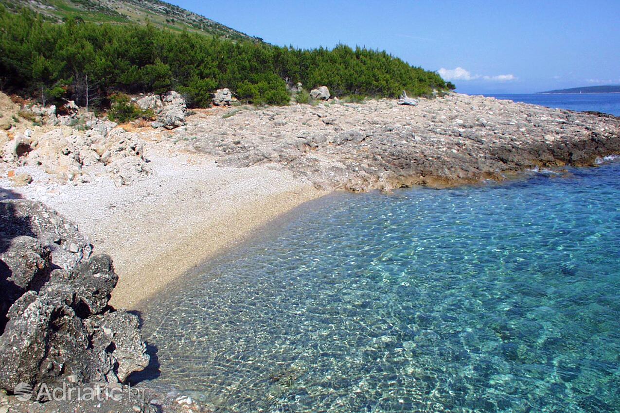 Nearby beaches - Apartments by the sea Ivan Dolac, Hvar