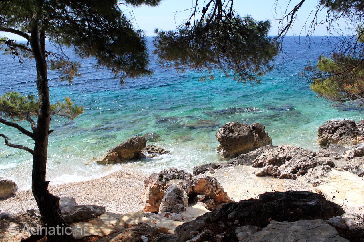 Nearby beaches - Apartments by the sea Ivan Dolac, Hvar