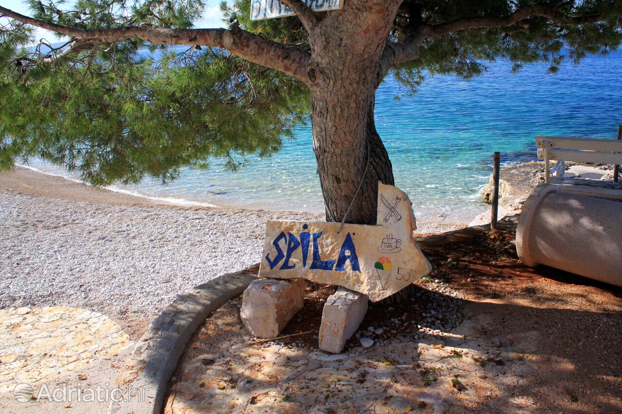 Nearby beaches - Apartments by the sea Ivan Dolac, Hvar