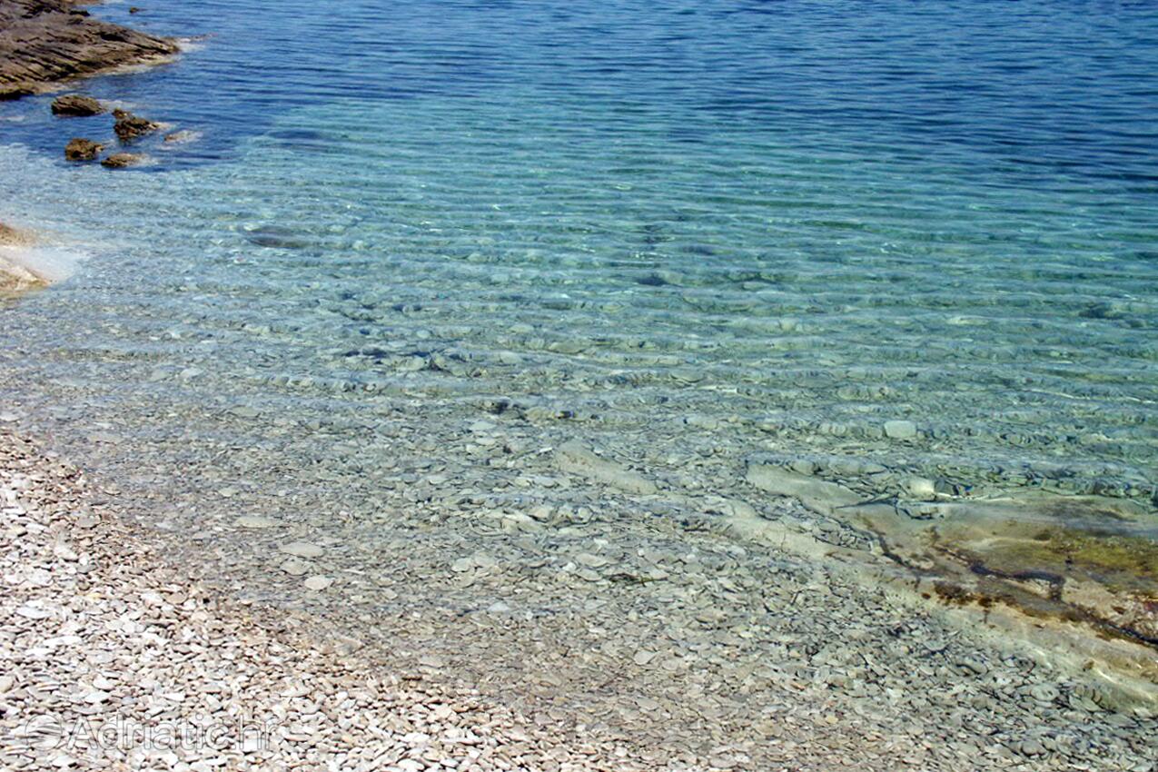 Nearby beaches - Apartments by the sea Sućuraj, Hvar