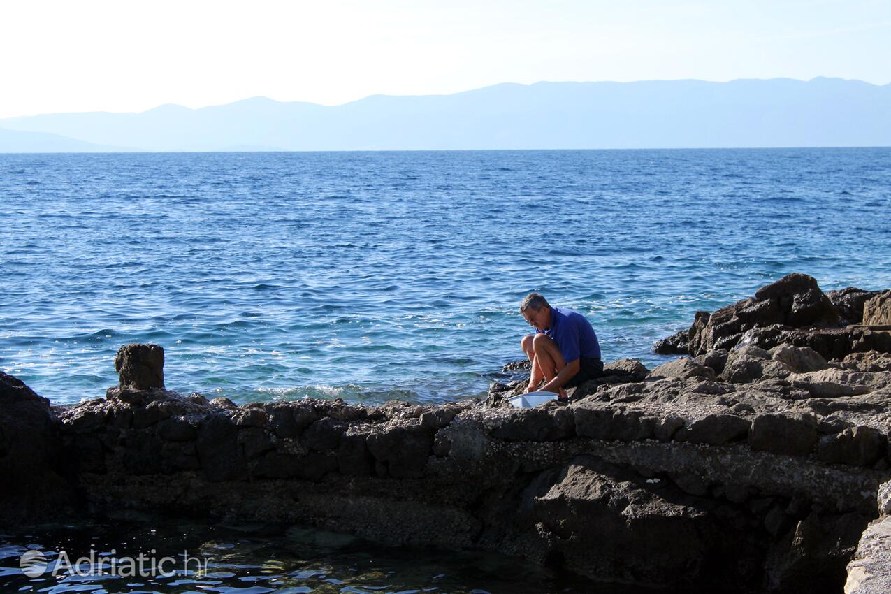 Torac na otoku Hvar (Srednja Dalmacija)