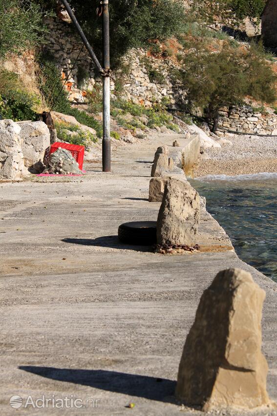 Torac en la isla Hvar (Srednja Dalmacija)