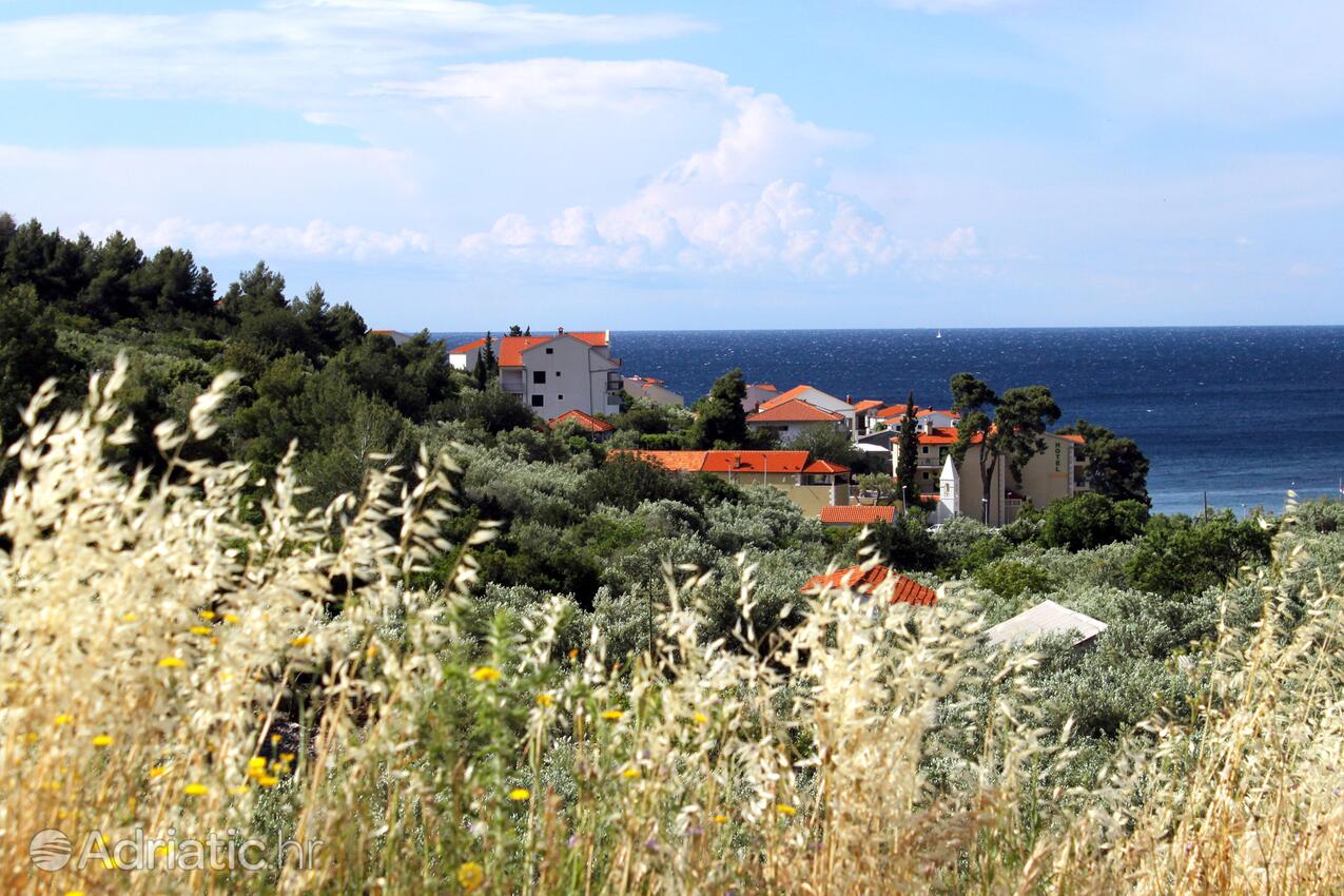 Milna på otoku Hvar (Srednja Dalmacija)