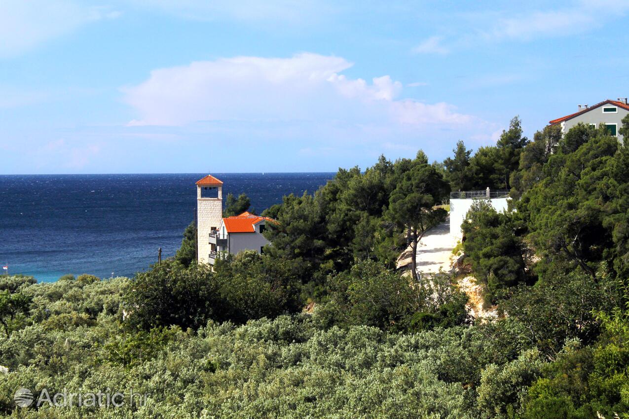 Milna på otoku Hvar (Srednja Dalmacija)