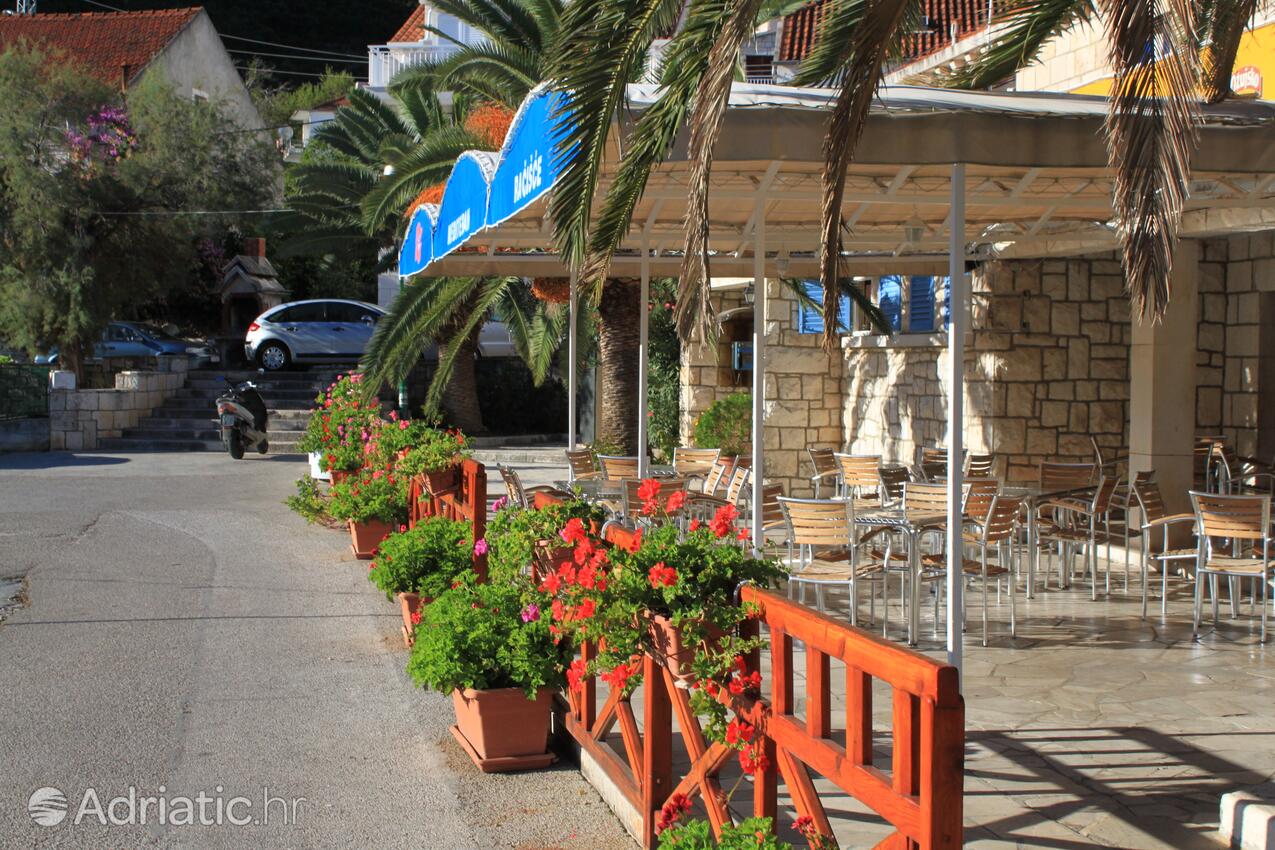 Račišće på otoku Korčula (Južna Dalmacija)