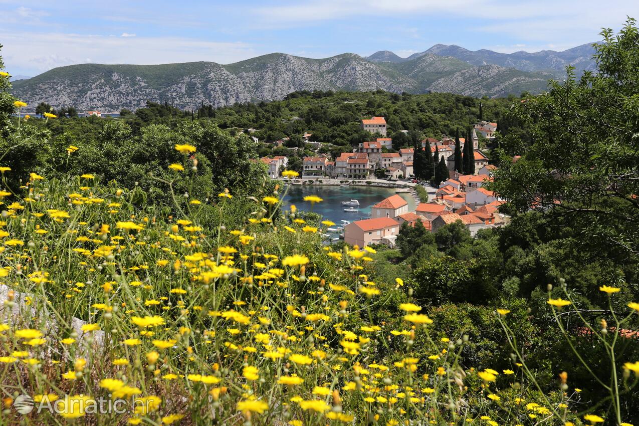 Račišće på otoku Korčula (Južna Dalmacija)