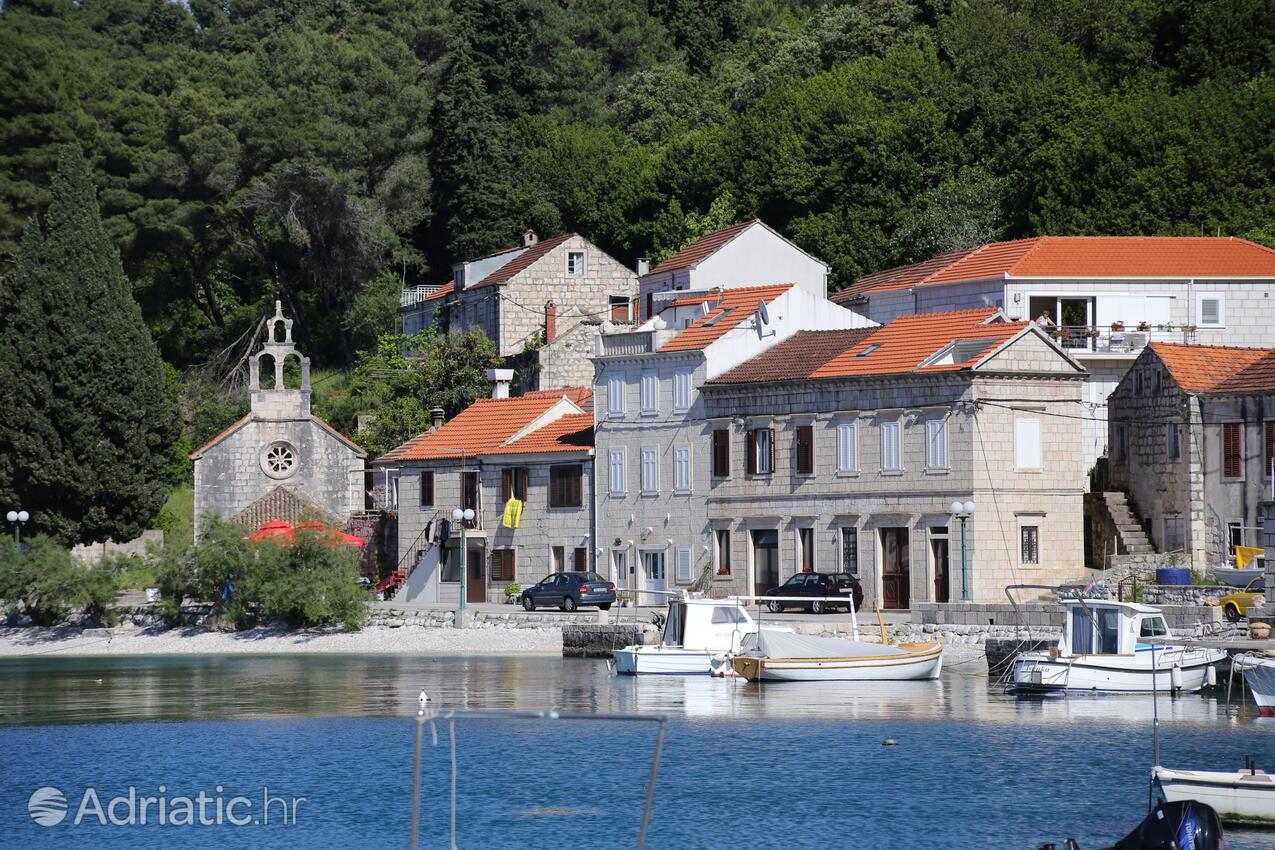 Račišće på otoku Korčula (Južna Dalmacija)