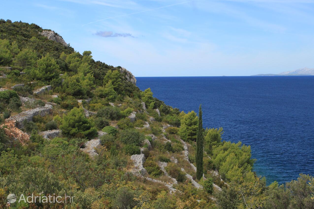 Račišće pe insula Korčula (Južna Dalmacija)