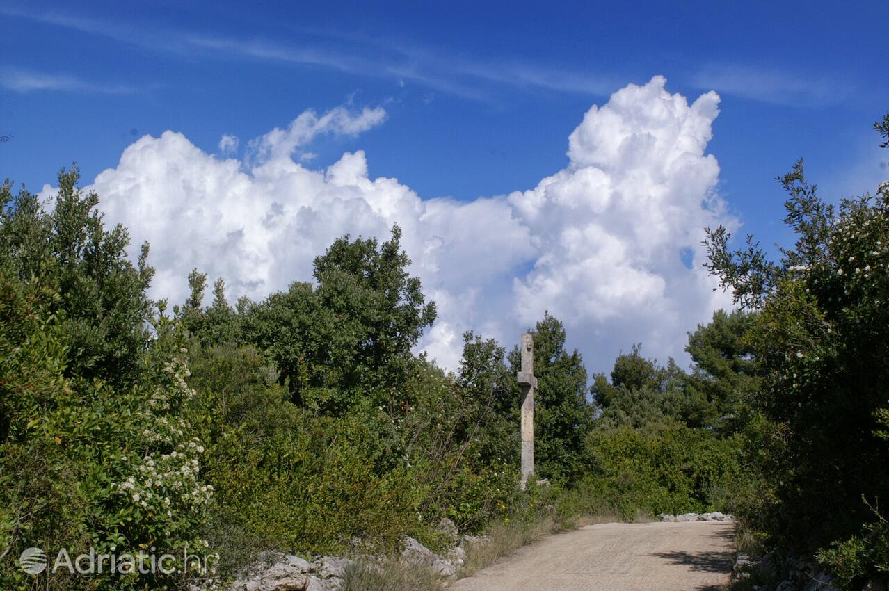 Račišće på otoku Korčula (Južna Dalmacija)