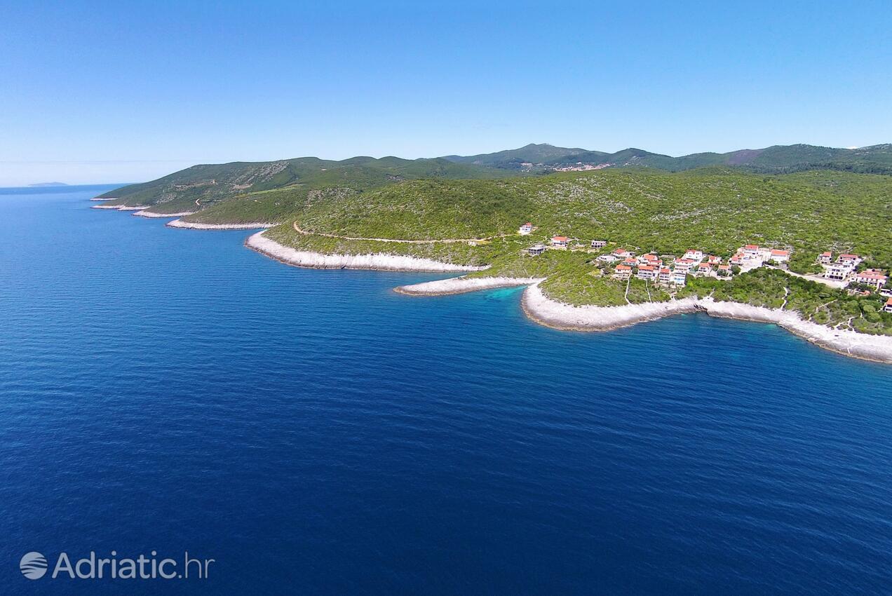 Zavalatica Korčula szigeten (Južna Dalmacija)