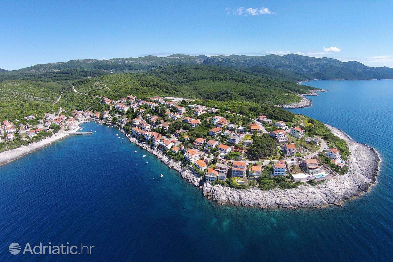 Zavalatica na ostrove Korčula (Južna Dalmacija)