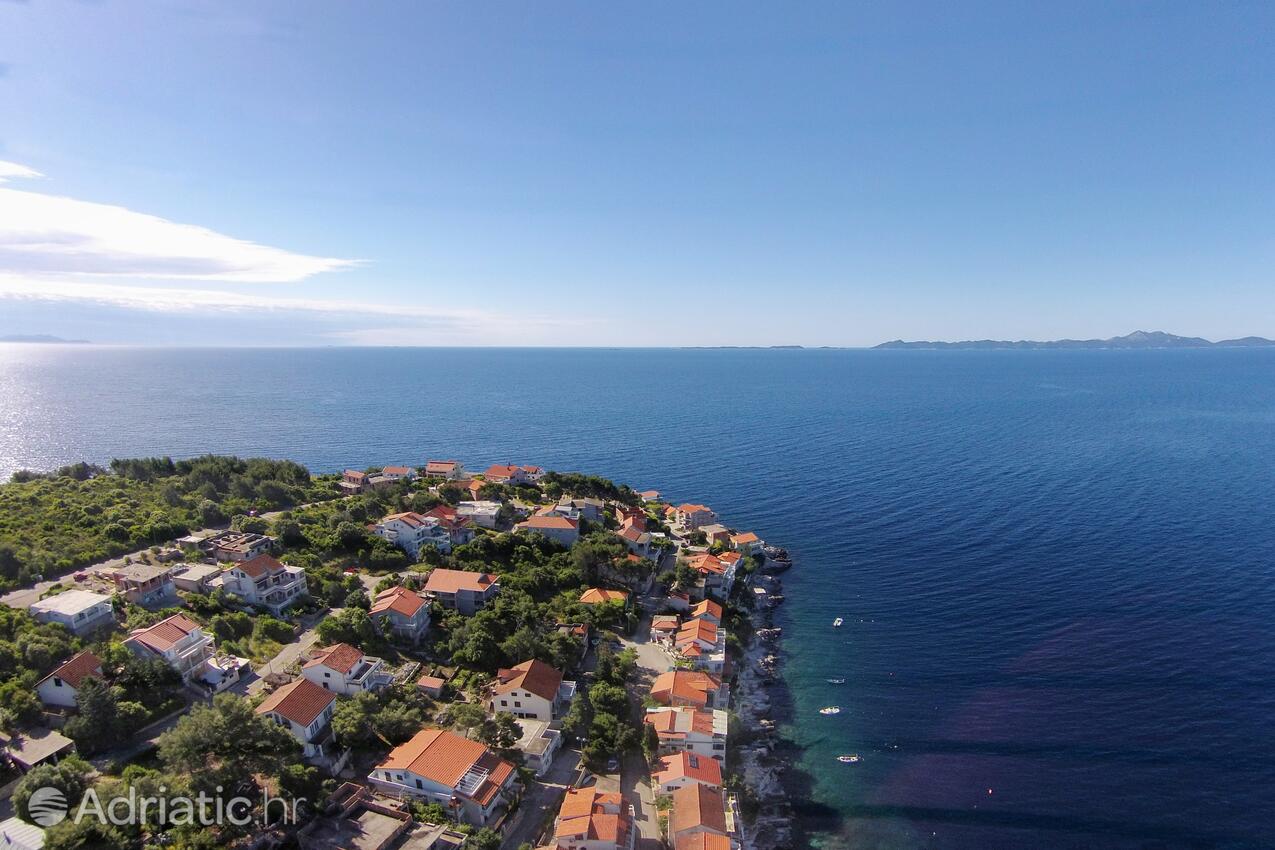 Zavalatica Korčula szigeten (Južna Dalmacija)