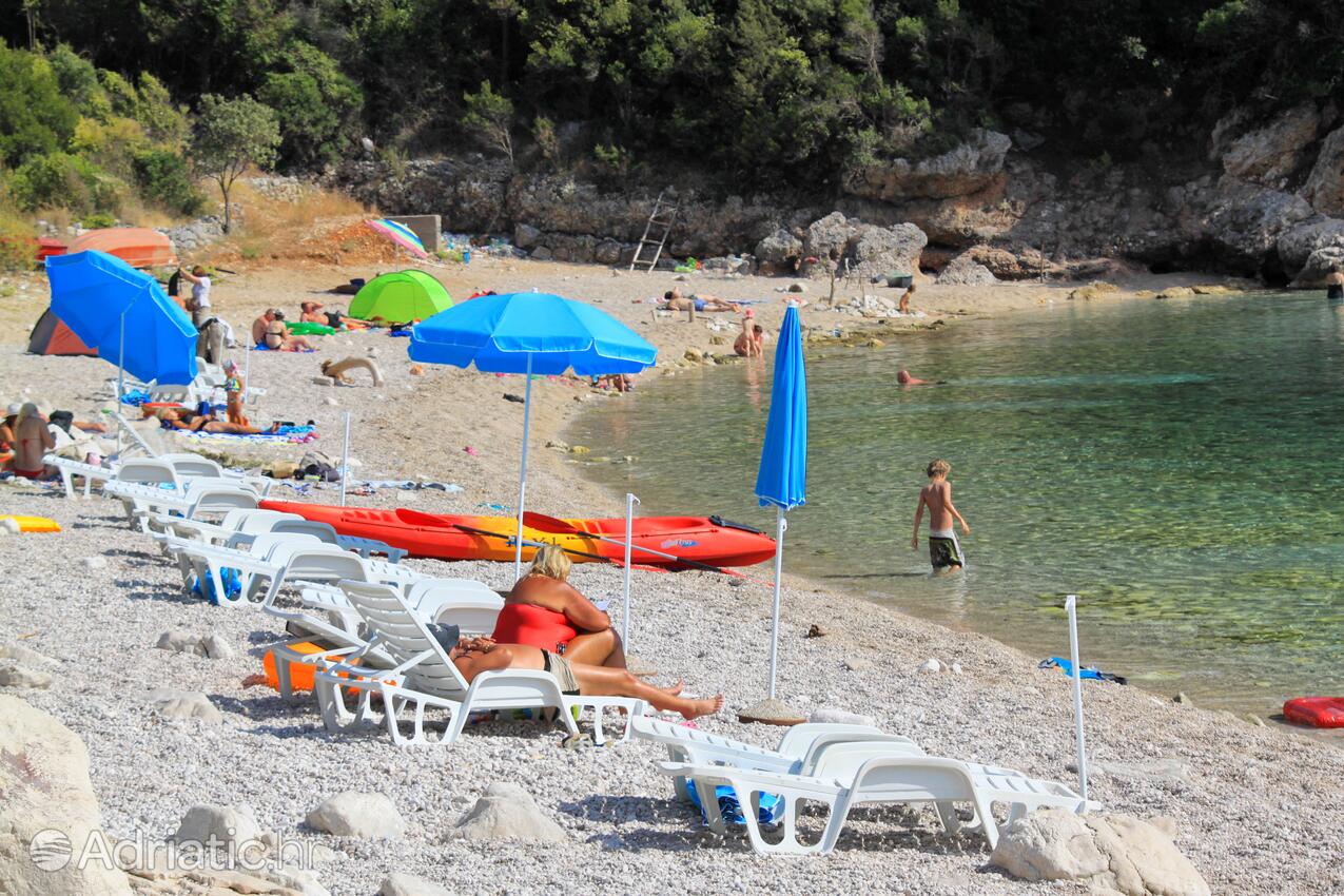 Spiagge nelle vicinanze - Appartamenti con parcheggio Zavalatica, Curzola - Korčula
